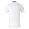 Camiseta de fútbol Irlanda Segunda Equipación 2024-25 - Hombre